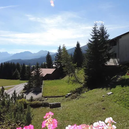 Barlangia فالبيلا