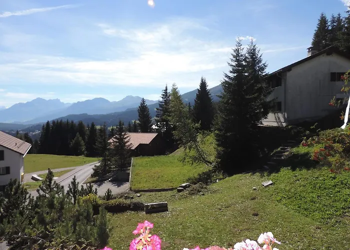 Barlangia فالبيلا